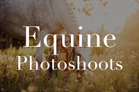 Equine Photoshoots